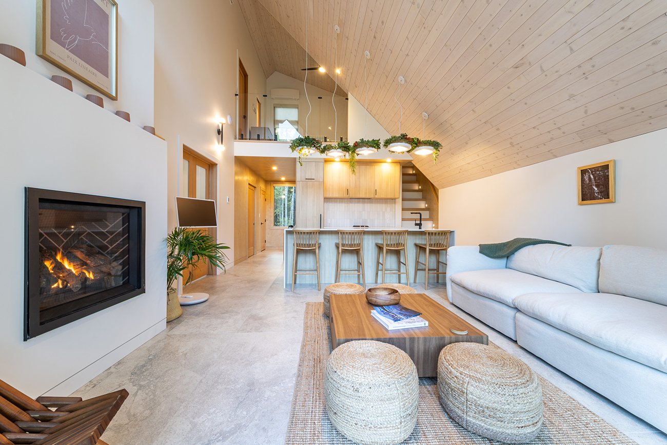 CABN1_living_kitchenview